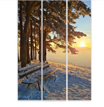 Preview: Flächenvorhang Traumplatz 3er Set, Schiebegardine, Schiebegardinen, blickdicht, Flächenvorhang blickdicht,